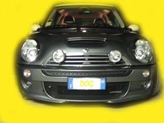 LA dogminella col paraurti aero jcw