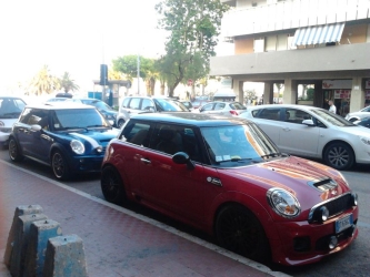 R53 o R56?